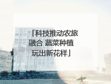 科技推动农旅融合 蔬菜种植玩出新花样