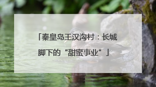 秦皇岛王汉沟村：长城脚下的“甜蜜事业”