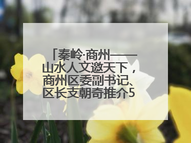 秦岭·商州——山水人文邀天下，商州区委副书记、区长支朝奇推介5个重点招商项目