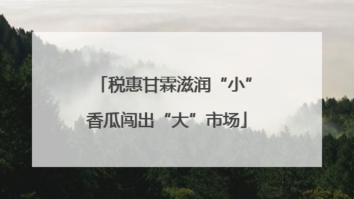 税惠甘霖滋润“小”香瓜闯出“大”市场