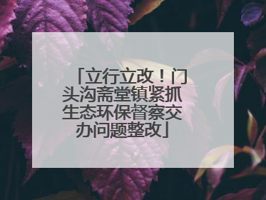 立行立改！门头沟斋堂镇紧抓生态环保督察交办问题整改