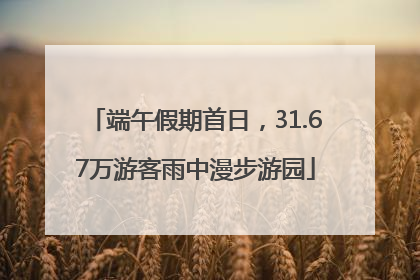 端午假期首日，31.67万游客雨中漫步游园