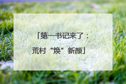 第一书记来了：荒村“焕”新颜