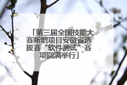 第三届全国技能大赛新增项目安徽省选拔赛“软件测试”赛项圆满举行