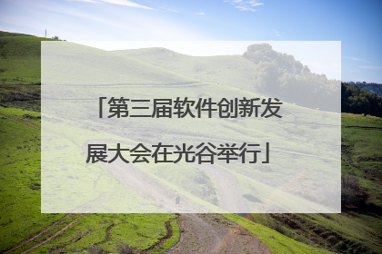 第三届软件创新发展大会在光谷举行