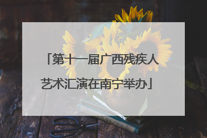 第十一届广西残疾人艺术汇演在南宁举办