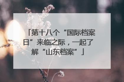 第十八个“国际档案日”来临之际，一起了解“山东档案”