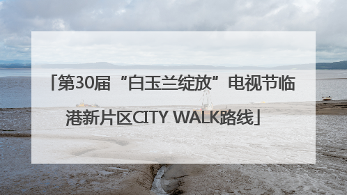 第30届“白玉兰绽放”电视节临港新片区CITY WALK路线