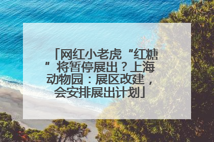 网红小老虎“红糖”将暂停展出？上海动物园：展区改建，会安排展出计划