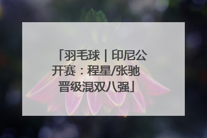 羽毛球｜印尼公开赛：程星/张驰晋级混双八强
