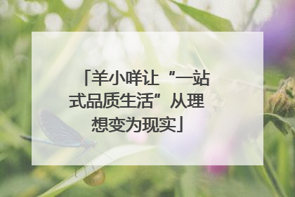 羊小咩让“一站式品质生活”从理想变为现实