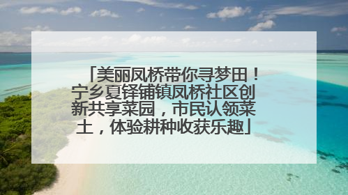美丽凤桥带你寻梦田！宁乡夏铎铺镇凤桥社区创新共享菜园，市民认领菜土，体验耕种收获乐趣