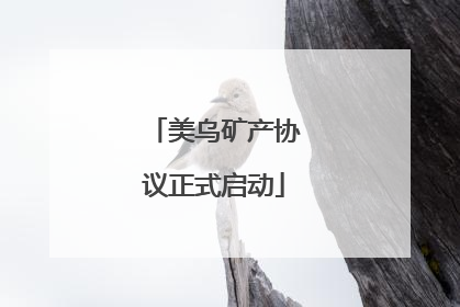 美乌矿产协议正式启动