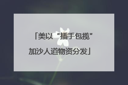 美以“插手包揽”加沙人道物资分发