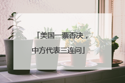 美国一票否决，中方代表三连问