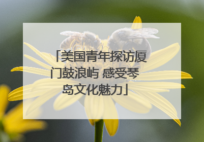 美国青年探访厦门鼓浪屿 感受琴岛文化魅力