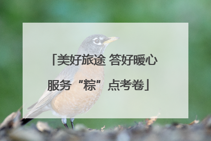 美好旅途 答好暖心服务“粽”点考卷