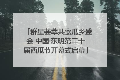 群星荟萃共襄瓜乡盛会 中国·东明第二十届西瓜节开幕式启幕