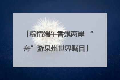 粽情端午香飘两岸 “舟”游泉州世界瞩目