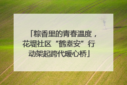 粽香里的青春温度，花堤社区“鹤耋安”行动架起跨代暖心桥