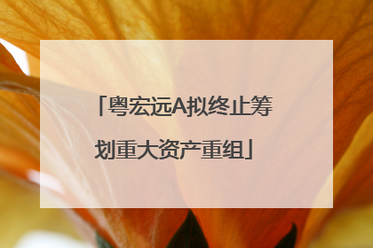 粤宏远A拟终止筹划重大资产重组