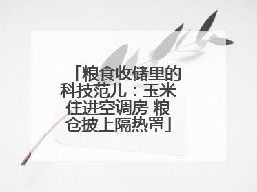 粮食收储里的科技范儿：玉米住进空调房 粮仓披上隔热罩
