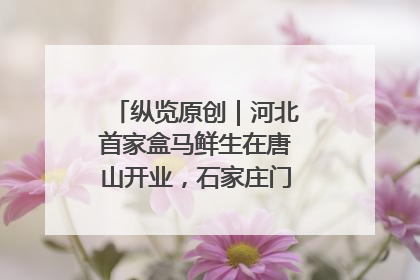 纵览原创｜河北首家盒马鲜生在唐山开业，石家庄门店预计8月开业