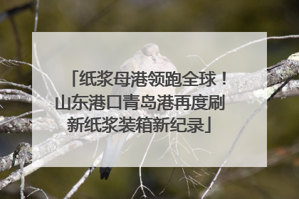 纸浆母港领跑全球！山东港口青岛港再度刷新纸浆装箱新纪录