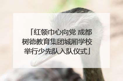 红领巾心向党 成都树德教育集团城厢学校举行少先队入队仪式