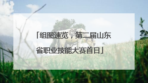 组图速览，第二届山东省职业技能大赛首日