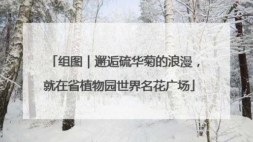 组图｜邂逅硫华菊的浪漫，就在省植物园世界名花广场