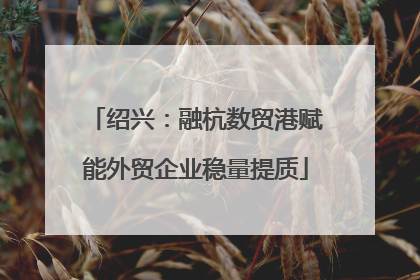 绍兴：融杭数贸港赋能外贸企业稳量提质