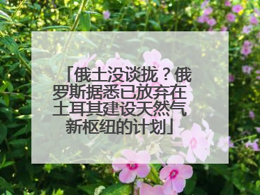 俄土没谈拢？俄罗斯据悉已放弃在土耳其建设天然气新枢纽的计划