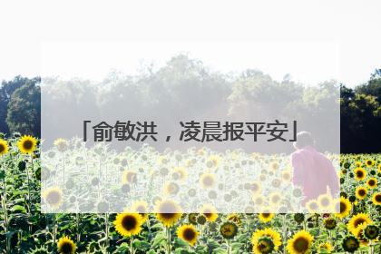 俞敏洪，凌晨报平安