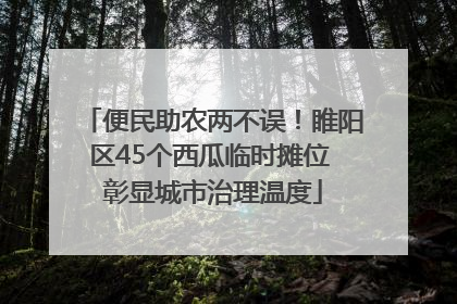 便民助农两不误！睢阳区45个西瓜临时摊位 彰显城市治理温度