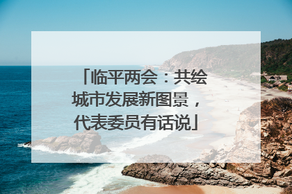 临平两会：共绘城市发展新图景，代表委员有话说