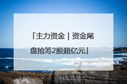 主力资金｜资金尾盘抢筹2股超亿元