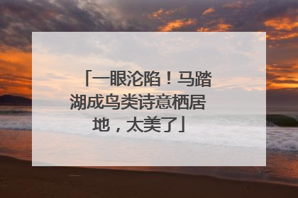 一眼沦陷！马踏湖成鸟类诗意栖居地，太美了