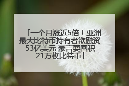 一个月涨近5倍！亚洲最大比特币持有者欲融资53亿美元 豪言要囤积21万枚比特币