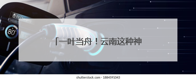 一叶当舟！云南这种神奇植物进入最佳观赏期