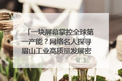 一块屏幕掌控全球第一产能？网络名人探寻眉山工业高质量发展密码｜网络名人四川行