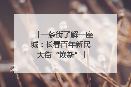 一条街了解一座城：长春百年新民大街“焕新”