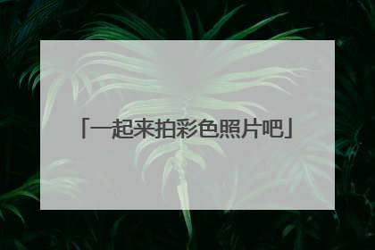 一起来拍彩色照片吧