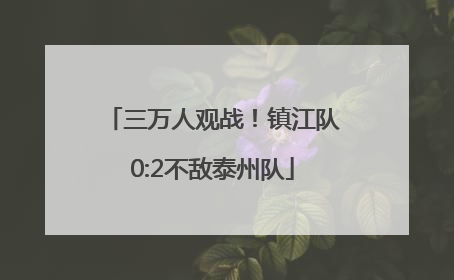 三万人观战！镇江队0:2不敌泰州队