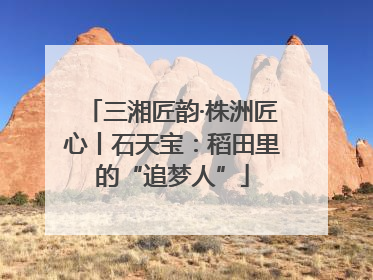 三湘匠韵·株洲匠心丨石天宝：稻田里的“追梦人”