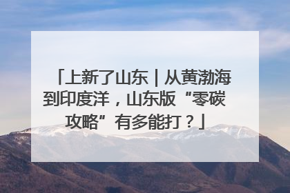 上新了山东｜从黄渤海到印度洋，山东版“零碳攻略”有多能打？