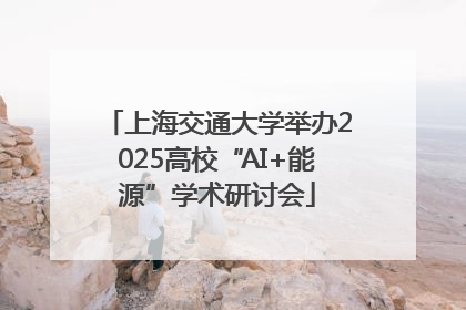上海交通大学举办2025高校“AI+能源”学术研讨会