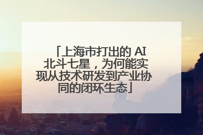 上海市打出的 AI 北斗七星，为何能实现从技术研发到产业协同的闭环生态