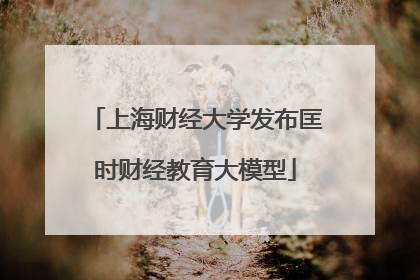 上海财经大学发布匡时财经教育大模型