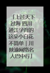 上过天下过海 四川通江孕育的这朵小白花不简单｜川陕渝网络名人巴中行